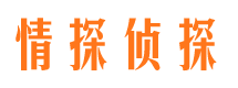 禄丰市侦探调查公司